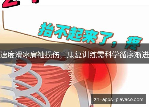 速度滑冰肩袖损伤，康复训练需科学循序渐进